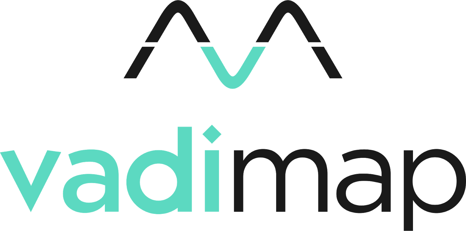 vadiMAP logo 