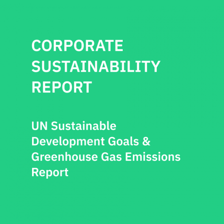 Corporate Sustainability Report: 2020 | Awesense